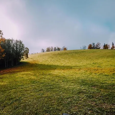 Unique Tiny House Getaway In The Nature - Kensho Horská chata Puugi