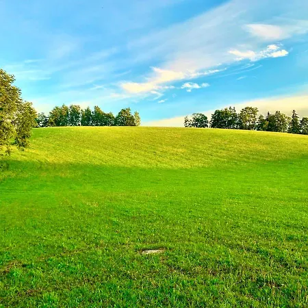 Unique Tiny House Getaway In The Nature - Kensho Chalet Puugi