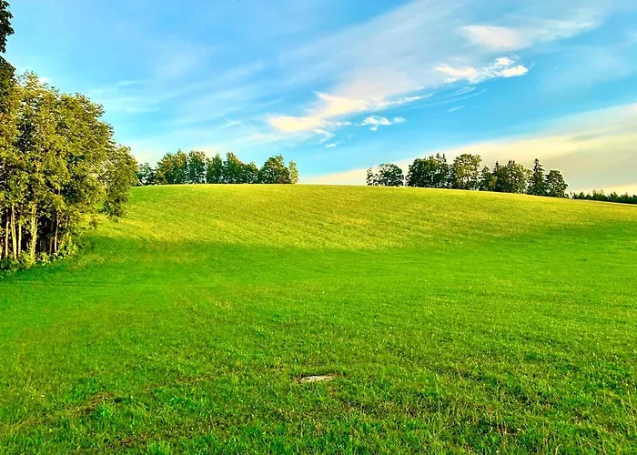 Unique Tiny House Getaway In The Nature - Kensho Chalet Puugi